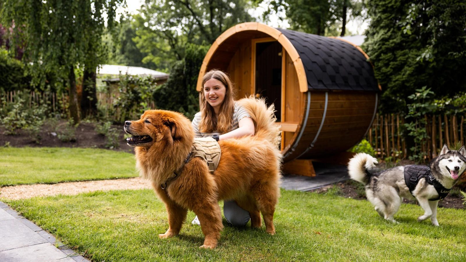 Lodge de luxe avec sauna (animaux admis)