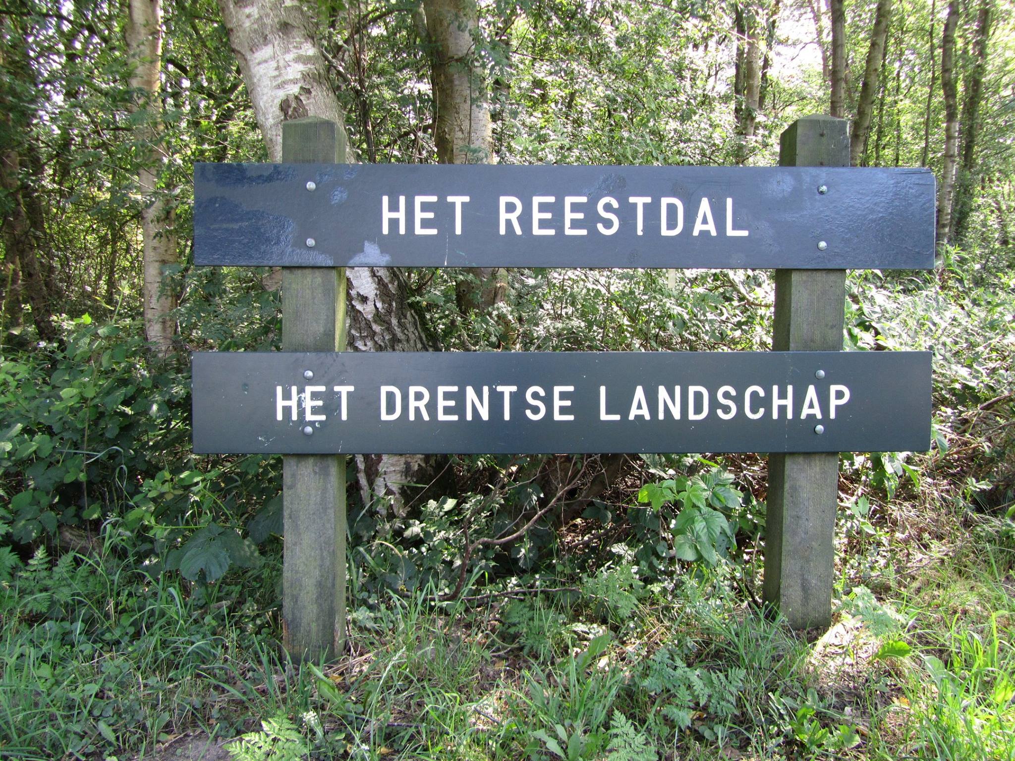 Sfeervol vakantiehuis in groene omgeving