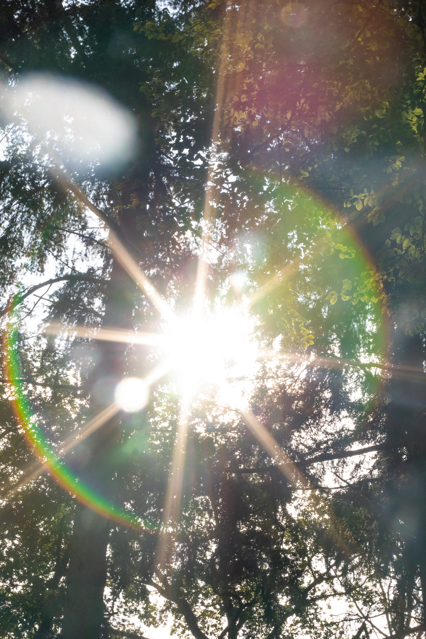 Tipi am Wasser mit u.a. Yoga-Workshops