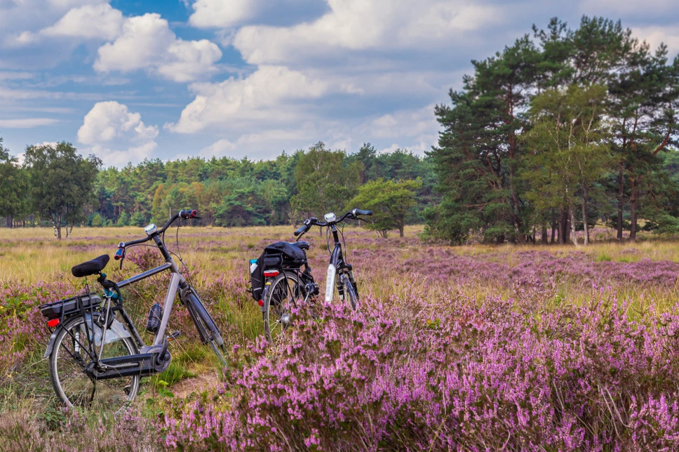 Family cottage with children's room on the Veluwe