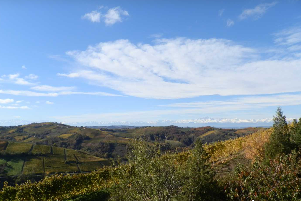 Holiday home with a view of vineyards