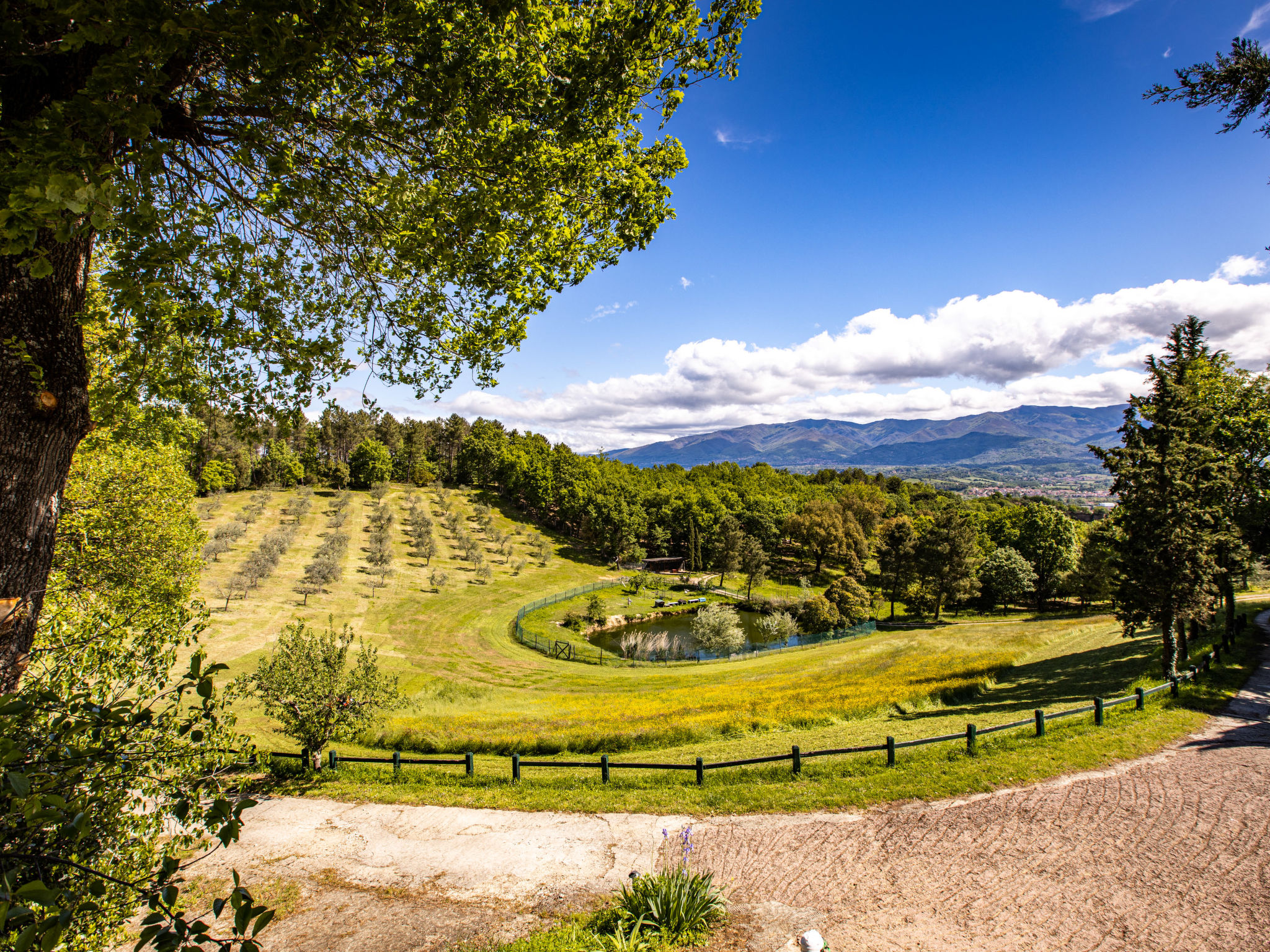 Grande villa de groupe près de Florence