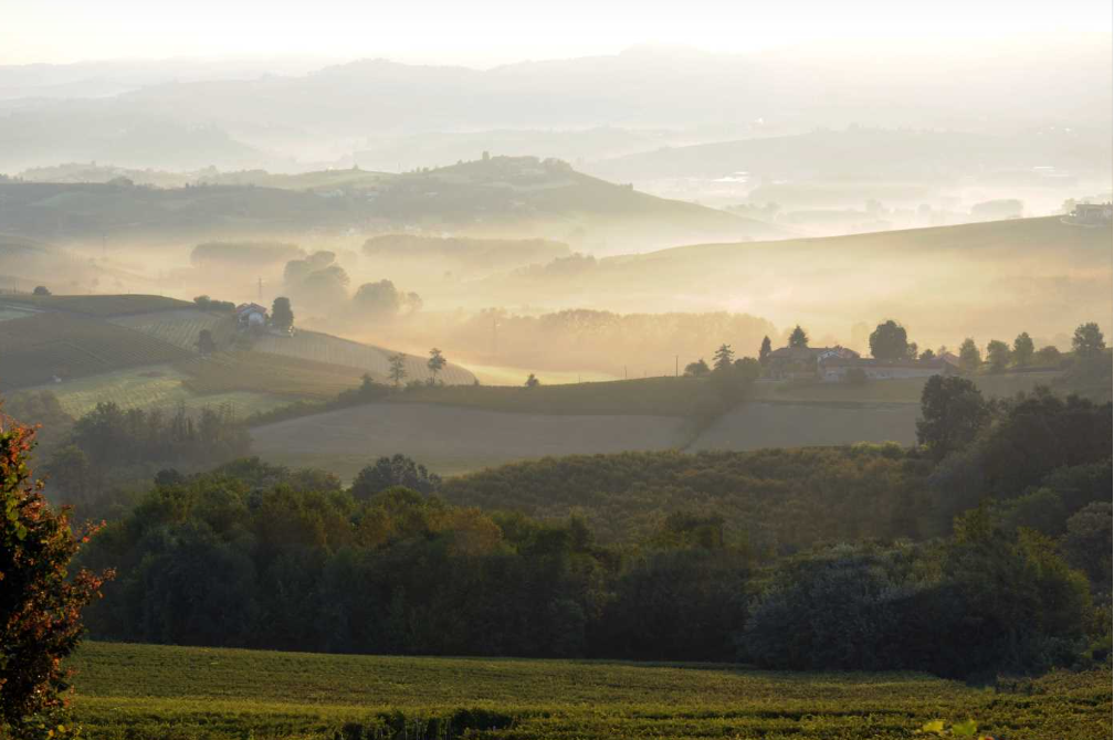 Holiday home with a view of vineyards