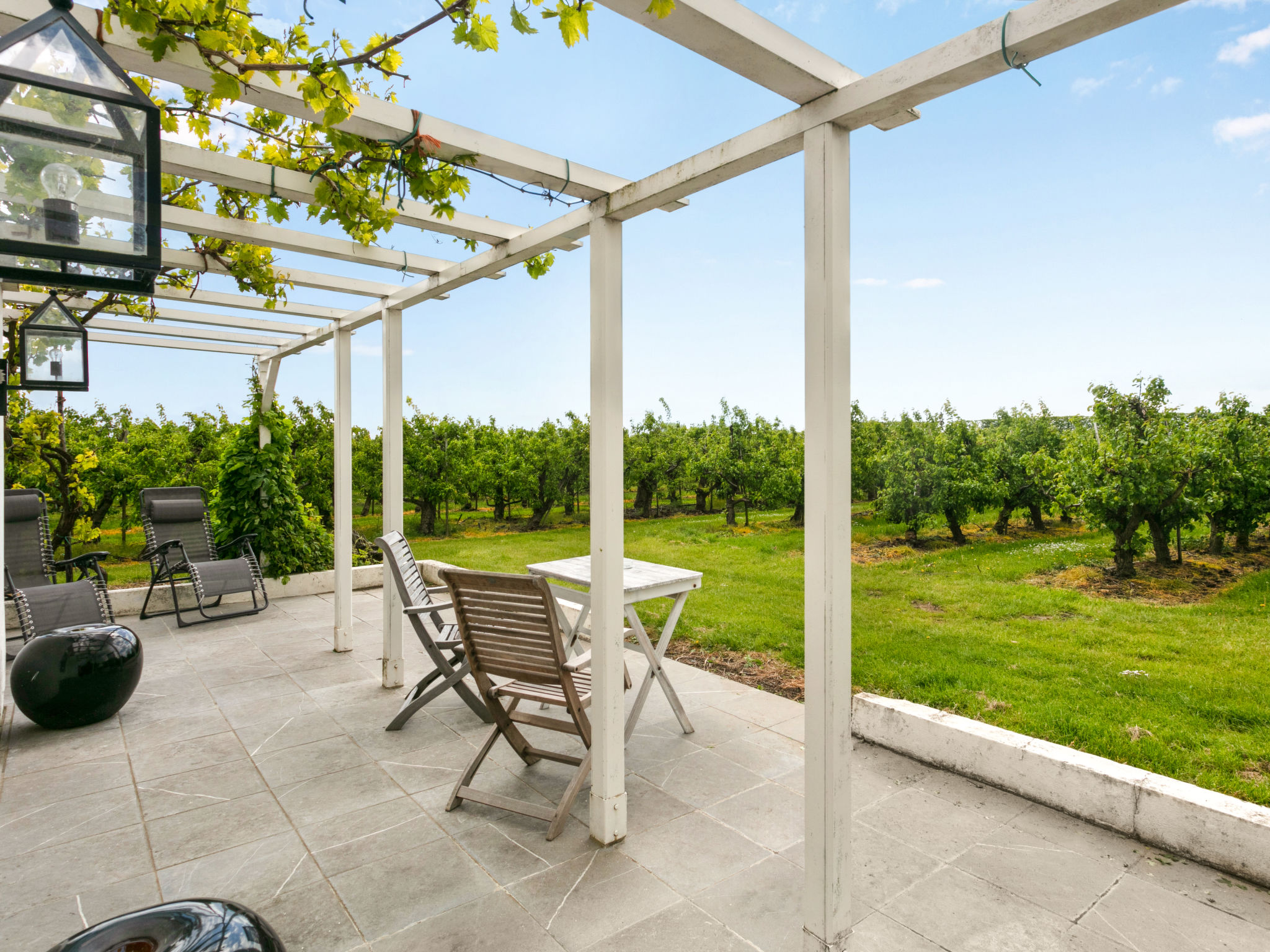 Gîte (2p) dans un vignoble