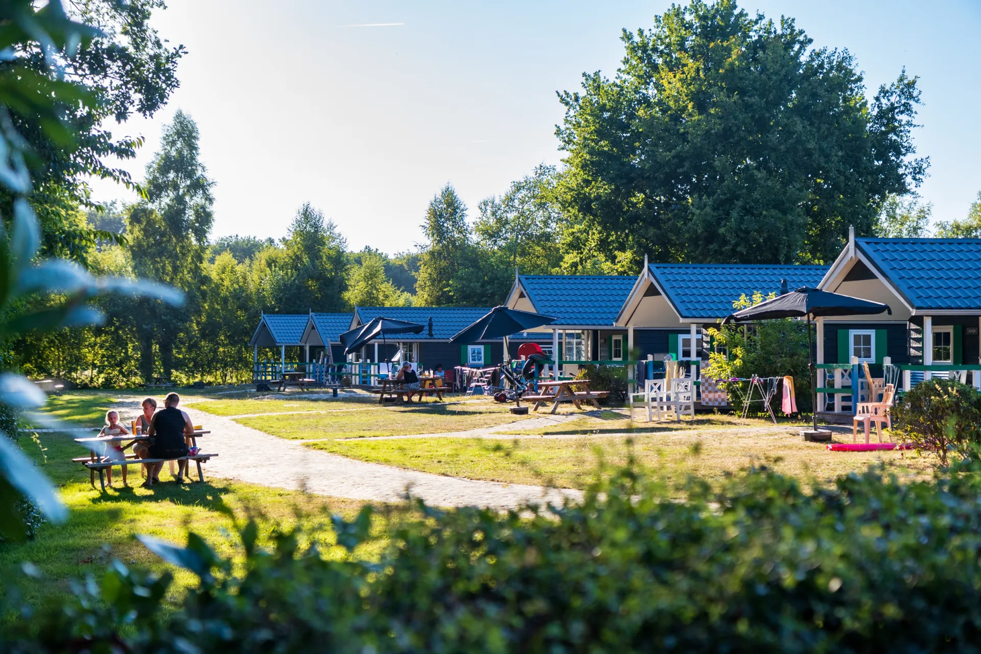 Tiny House op leuke familiecamping