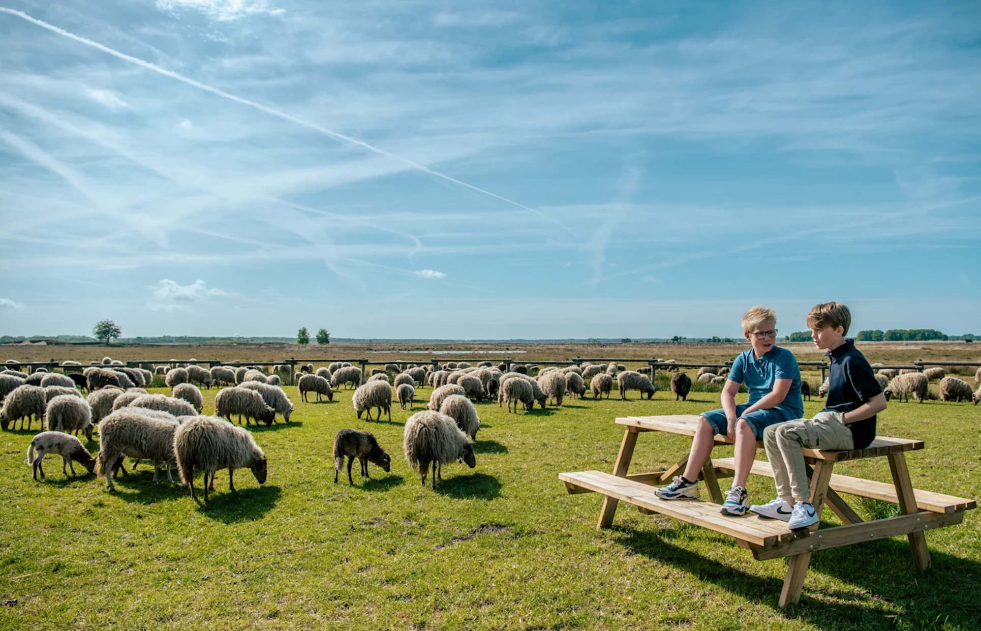 Sfeervolle vakantiewoning (4p) in Drenthe
