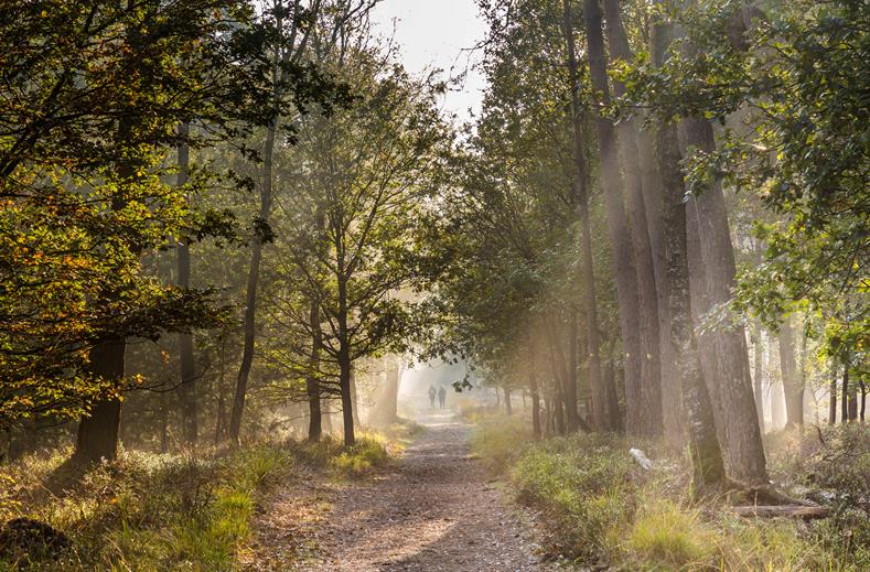 Moderne vakantiewoning vlakbij natuurpark