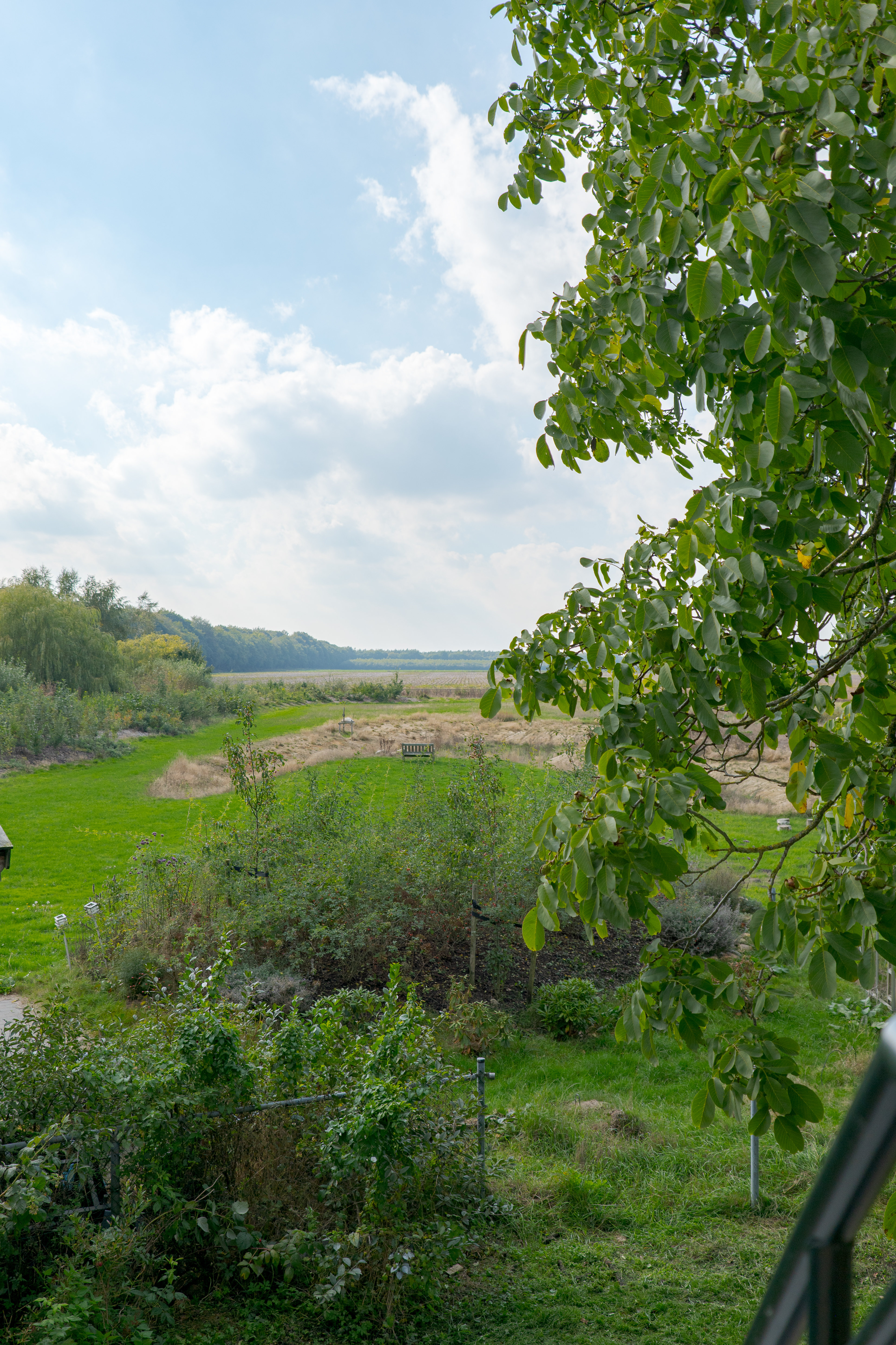 Overnachten met uitzicht over Drentse bossen