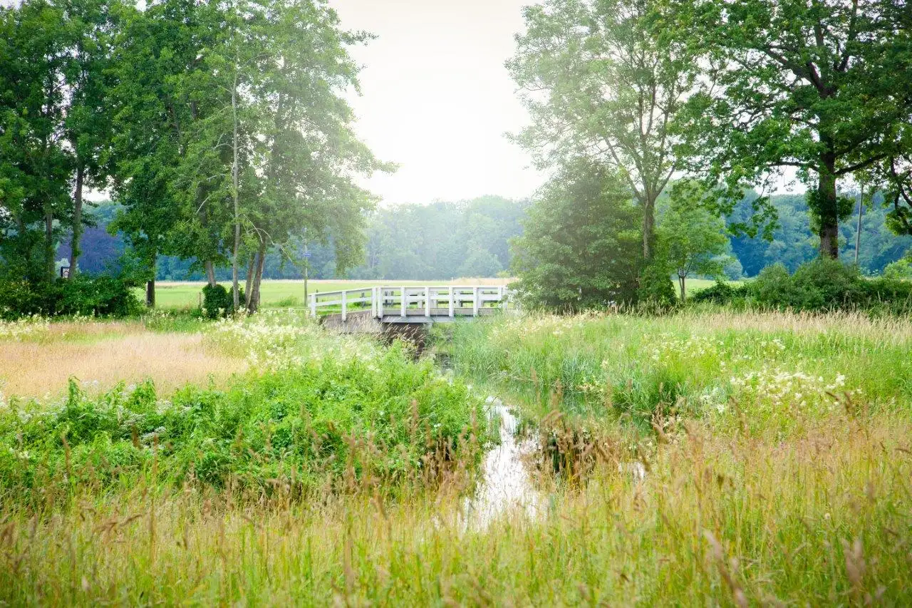 Komfortable Ferienwohnung (6p) in einem ruhigen Park