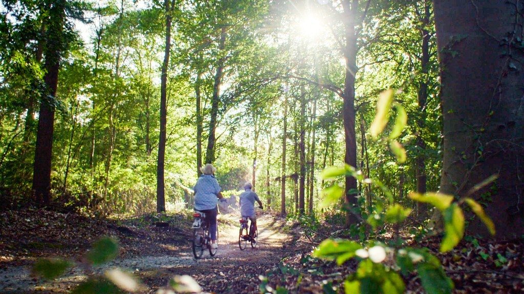 Group accommodation (up to 23p) on nice park