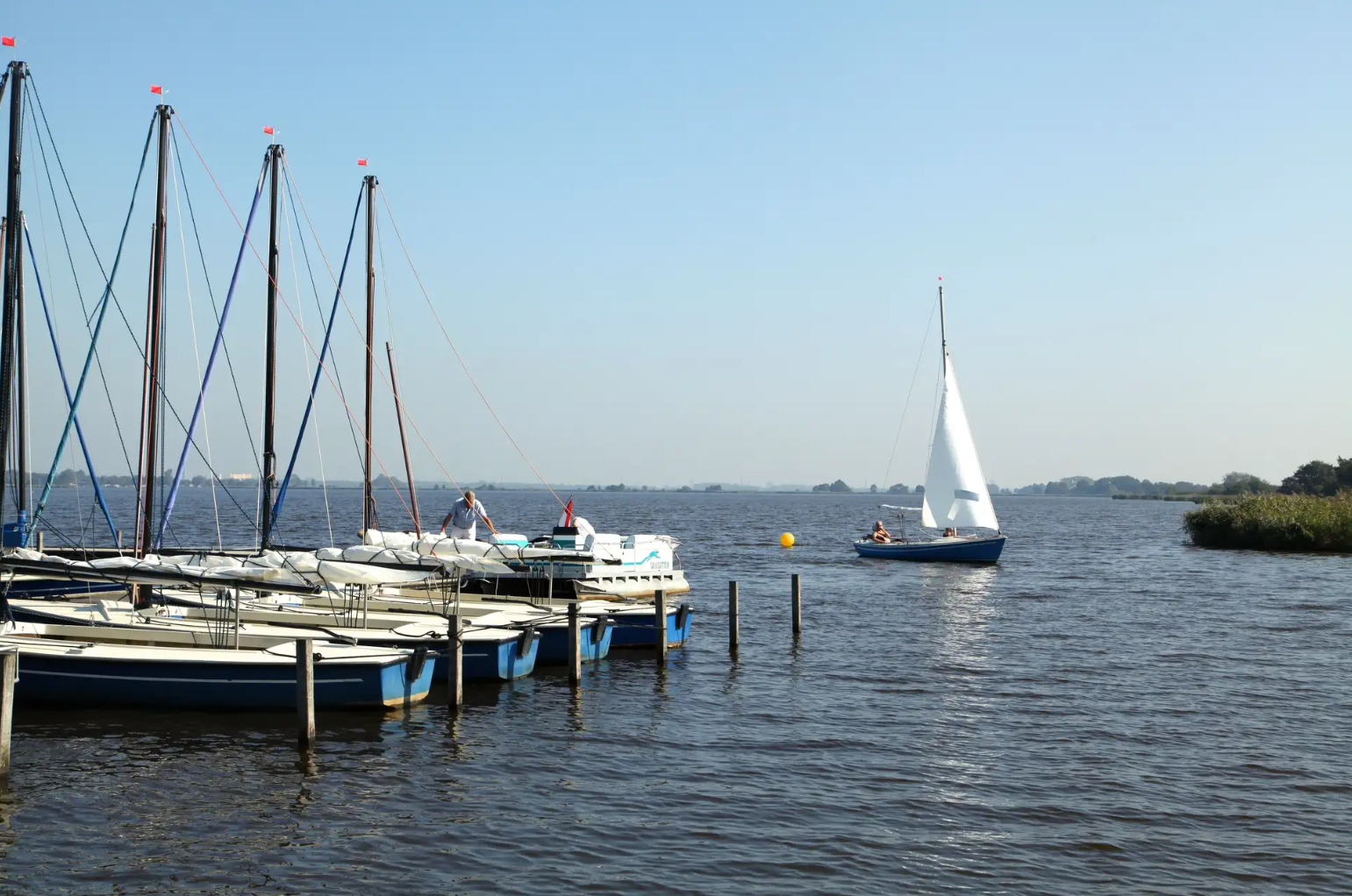 Tente glamping spacieuse (4p) au bord de l'eau