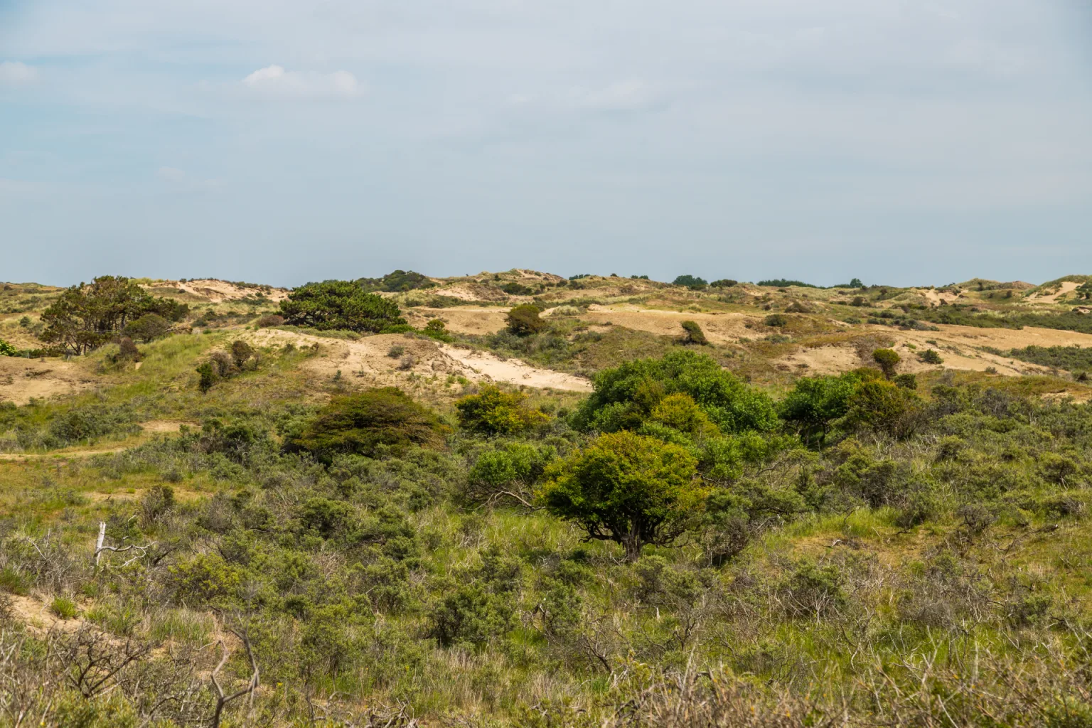 ferienwohnungen mit privater sauna in den dünen