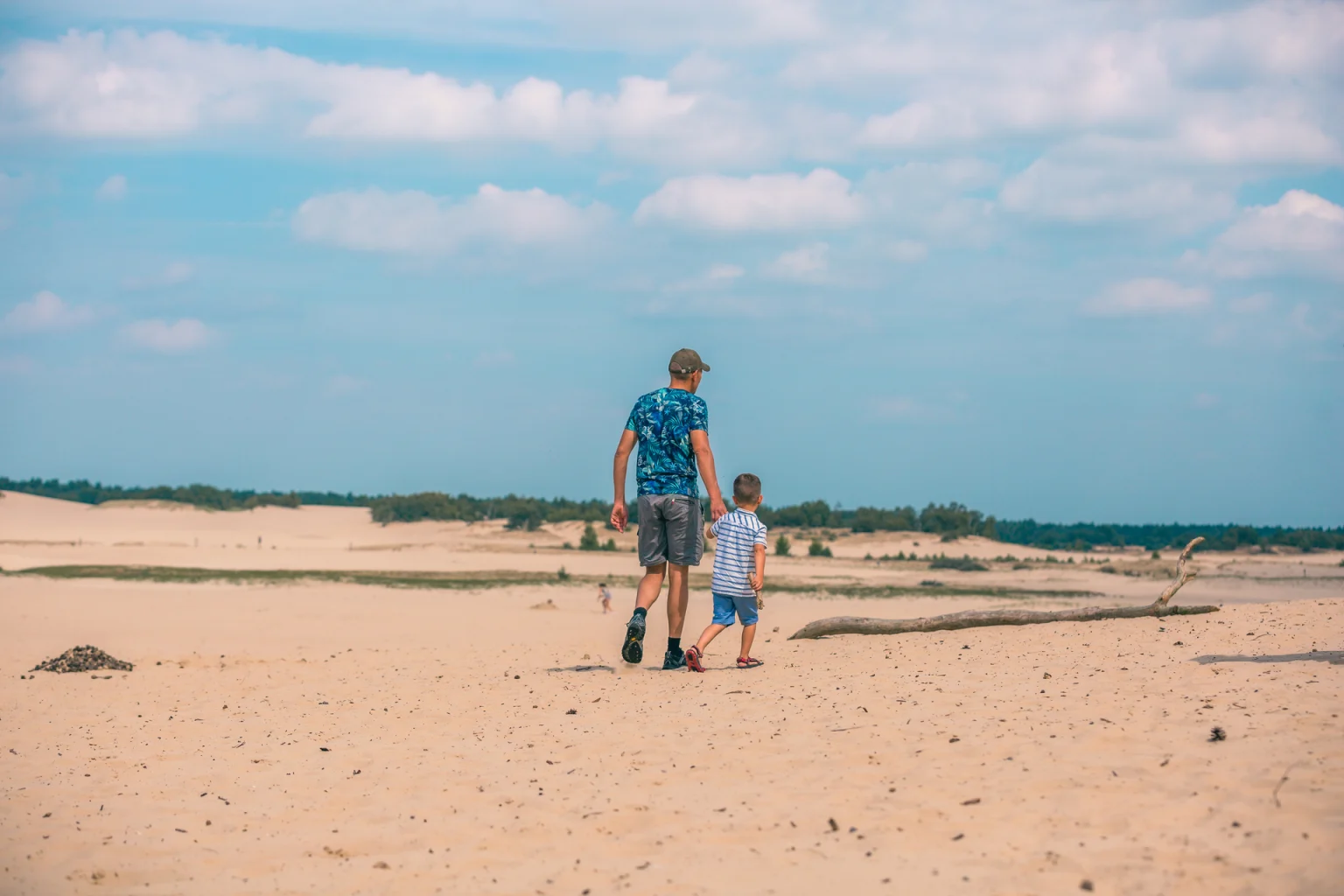 Logement de vacances moderne entouré de forêt
