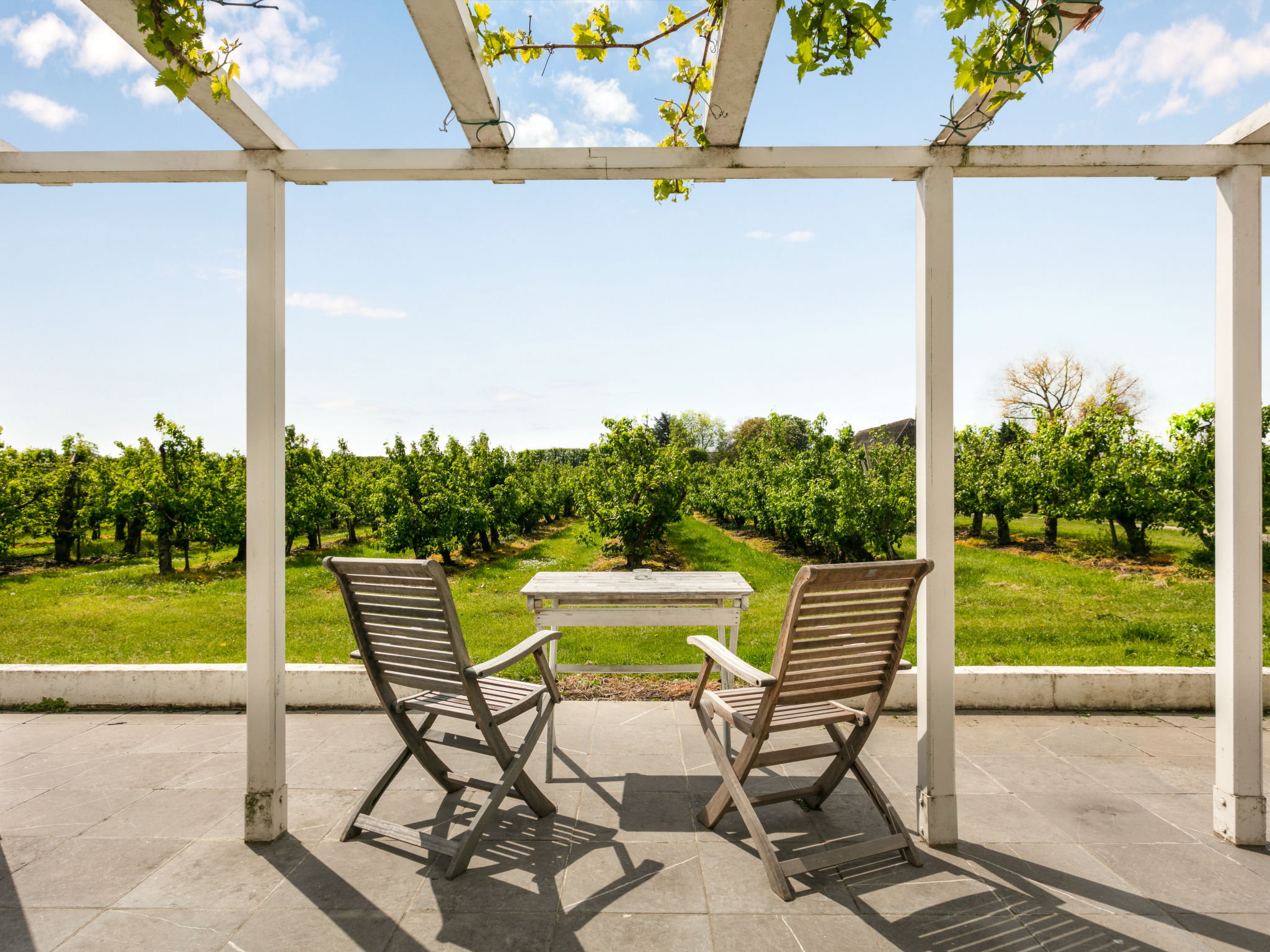 Gîte (2p) dans un vignoble
