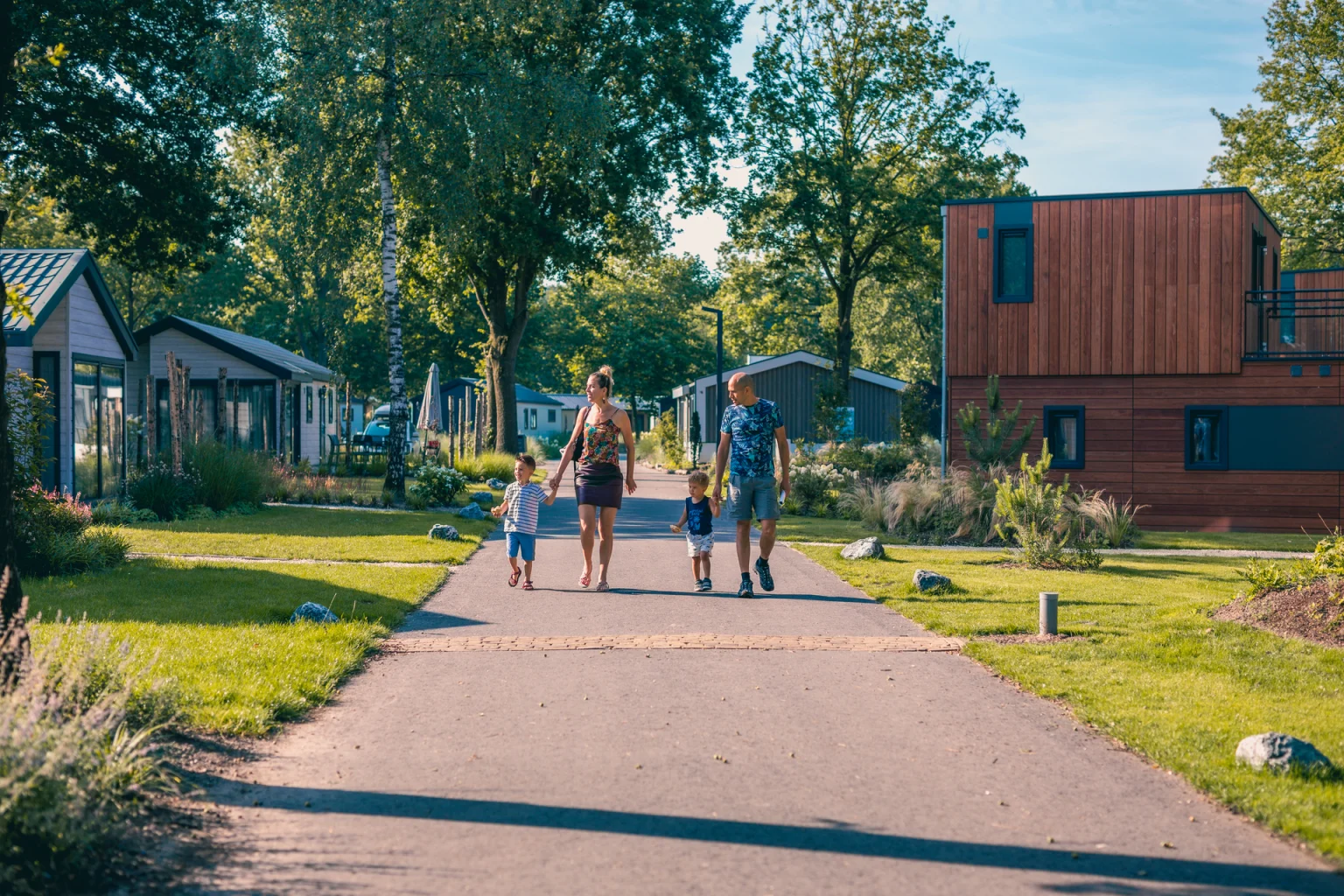 Logement de vacances moderne entouré de forêt