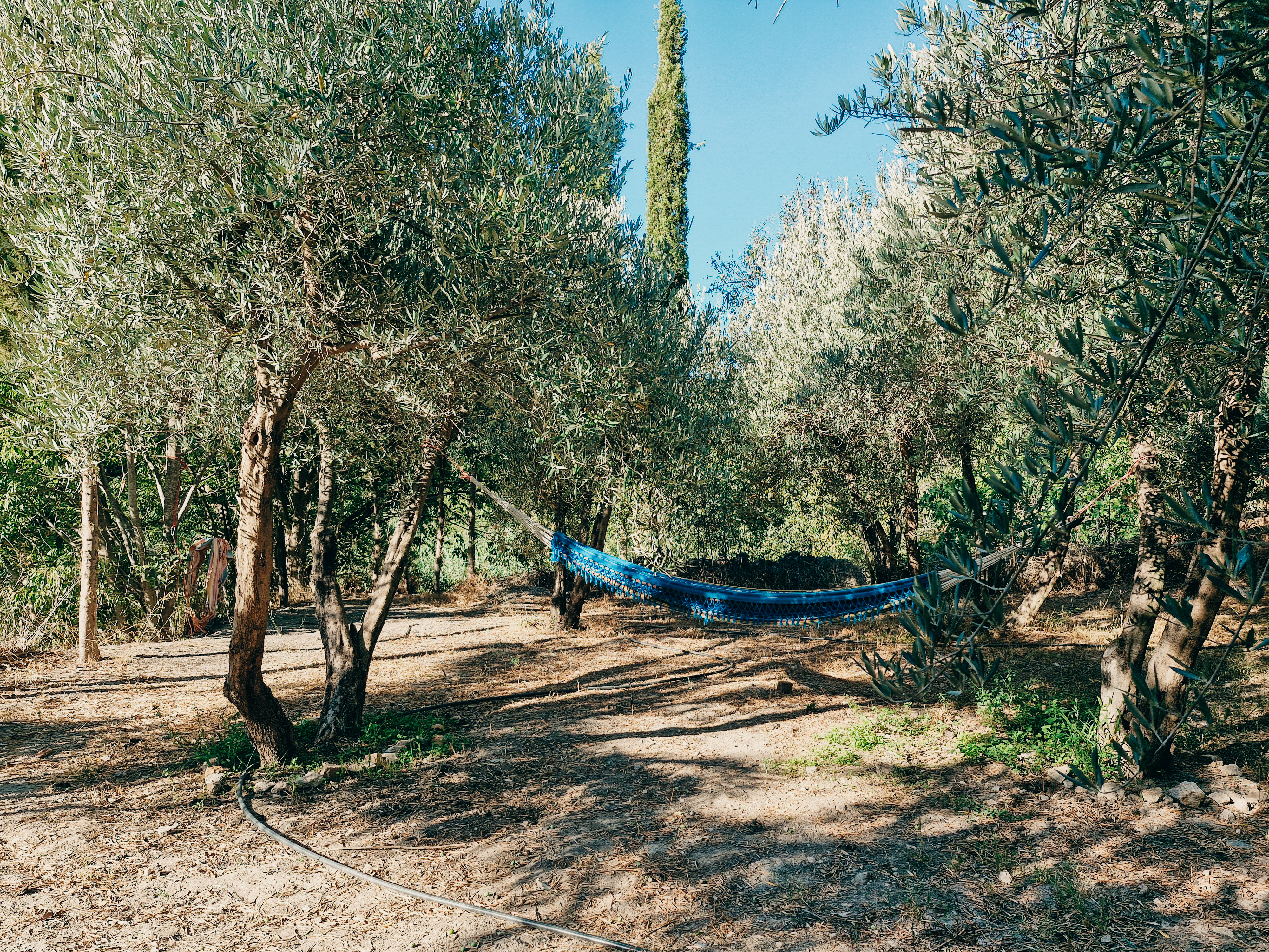 Logement de vacances idyllique dans les montagnes (Espagne)