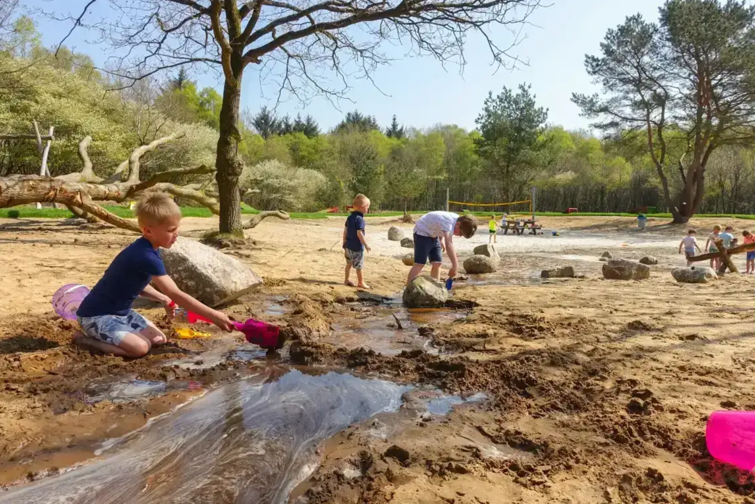 Sfeervolle vakantiewoning (4p) in Drenthe