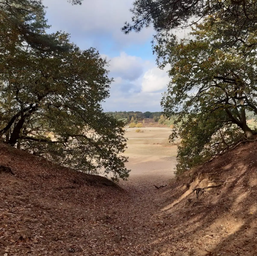 Design lodge (6p) sur la Veluwe