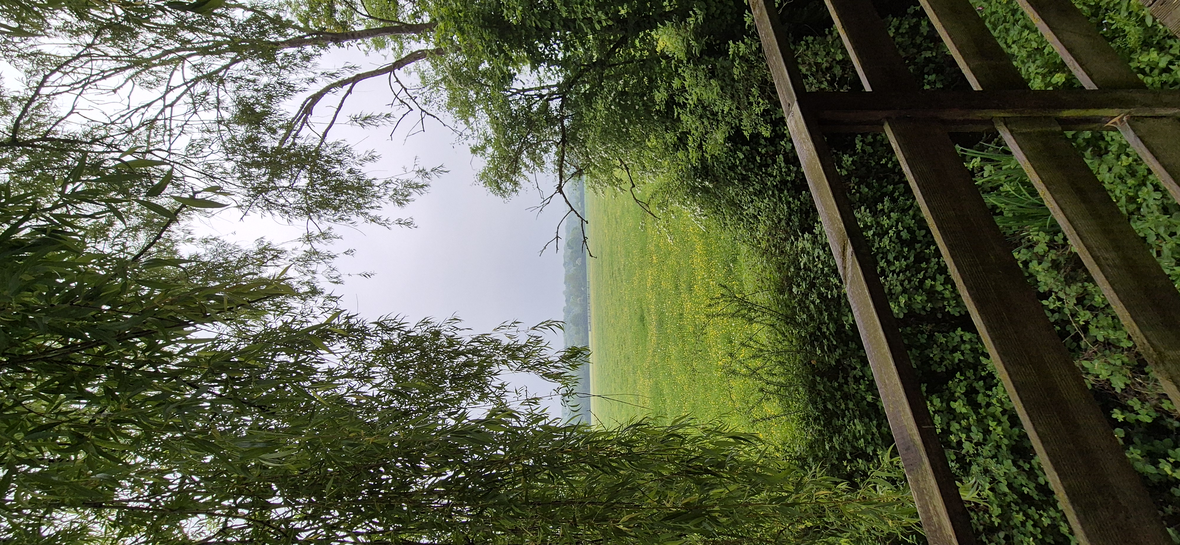 Außergewöhnliches Baumhaus direkt am Wasser