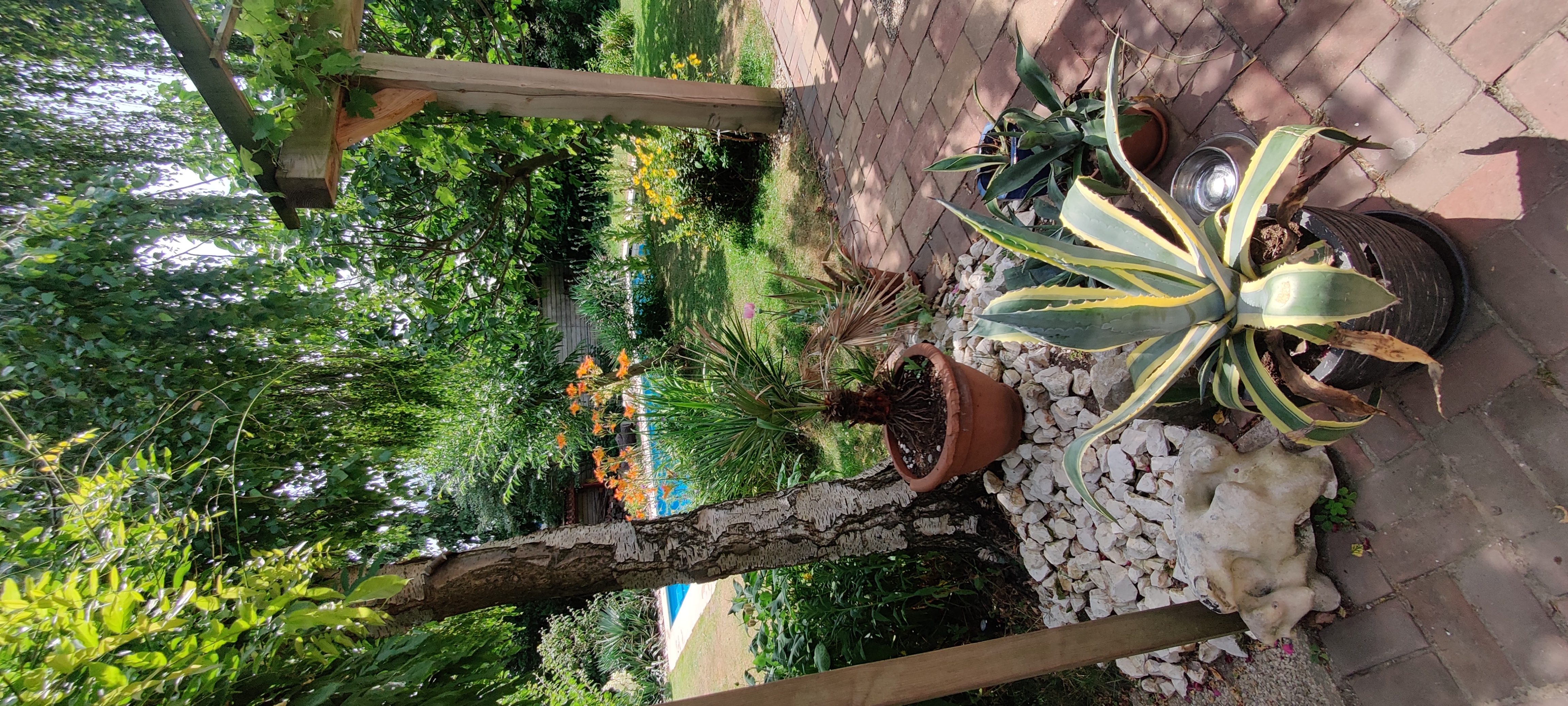 Nachhaltige Wellness im Paradiesgarten