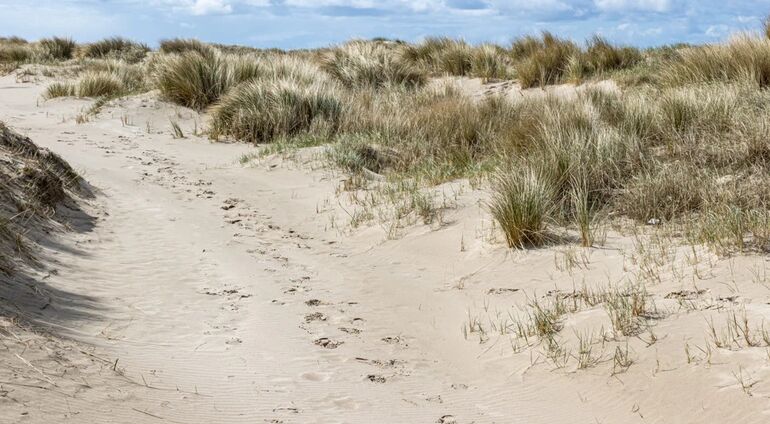 Vakantiewoning in de duinen met eigen sauna