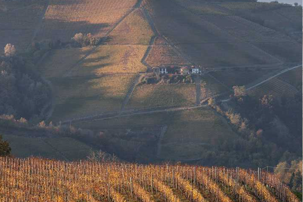 Holiday home with a view of vineyards