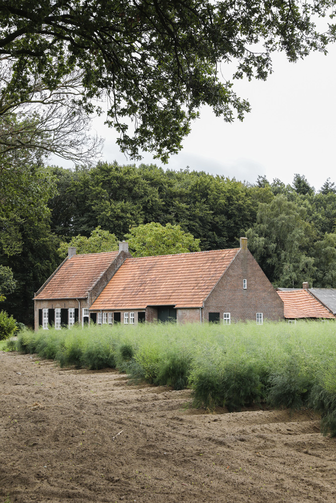 Magnifique cottage dans un cadre verdoyant
