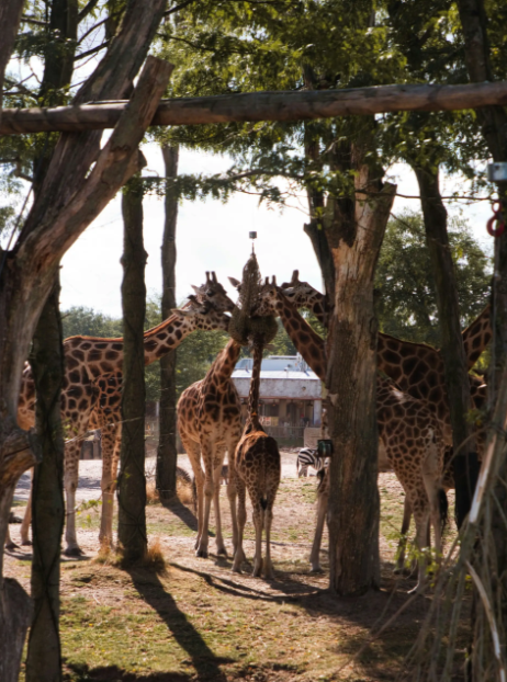 Group accommodation in Drenthe nature reserve