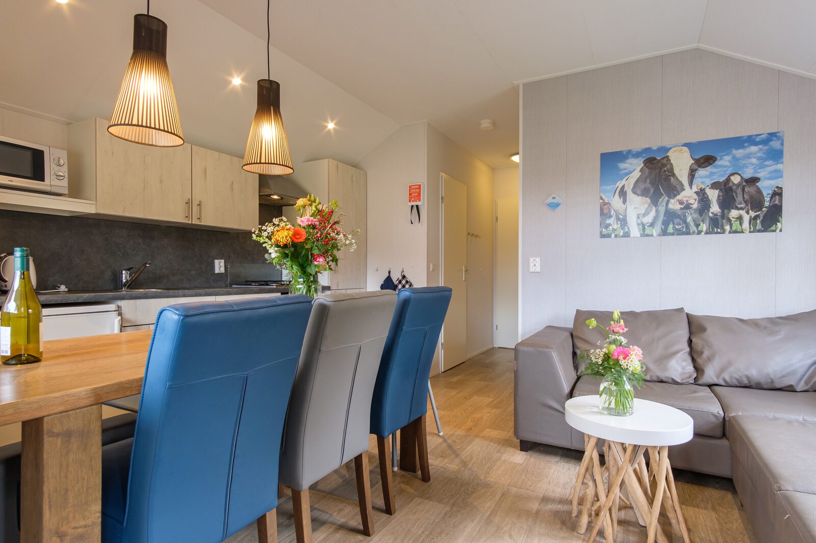 Cozy cottage (6p) on park in Overijssel