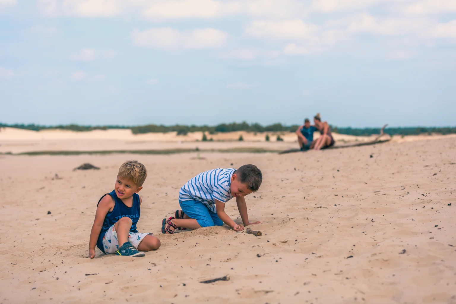 Logement de vacances moderne entouré de forêt