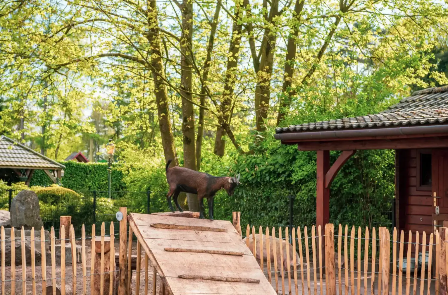 Vrijstaande chalet voor 6 personen 