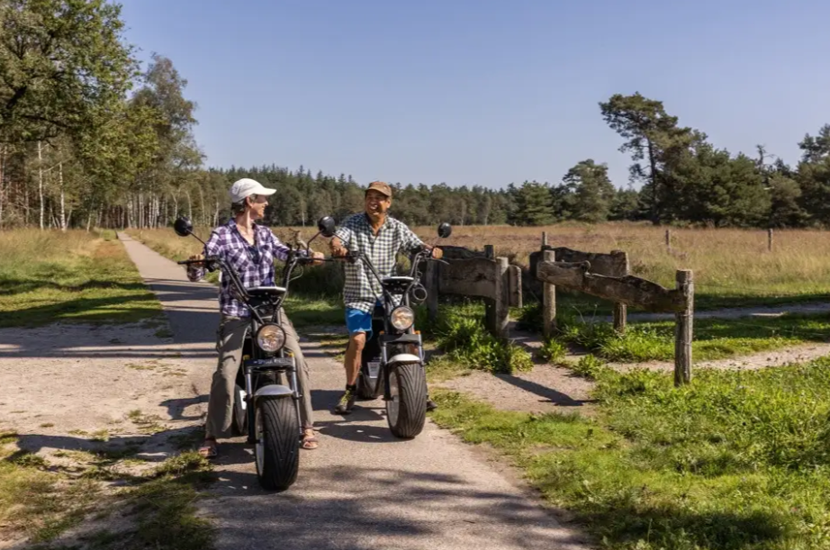 Group accommodation in Drenthe nature reserve
