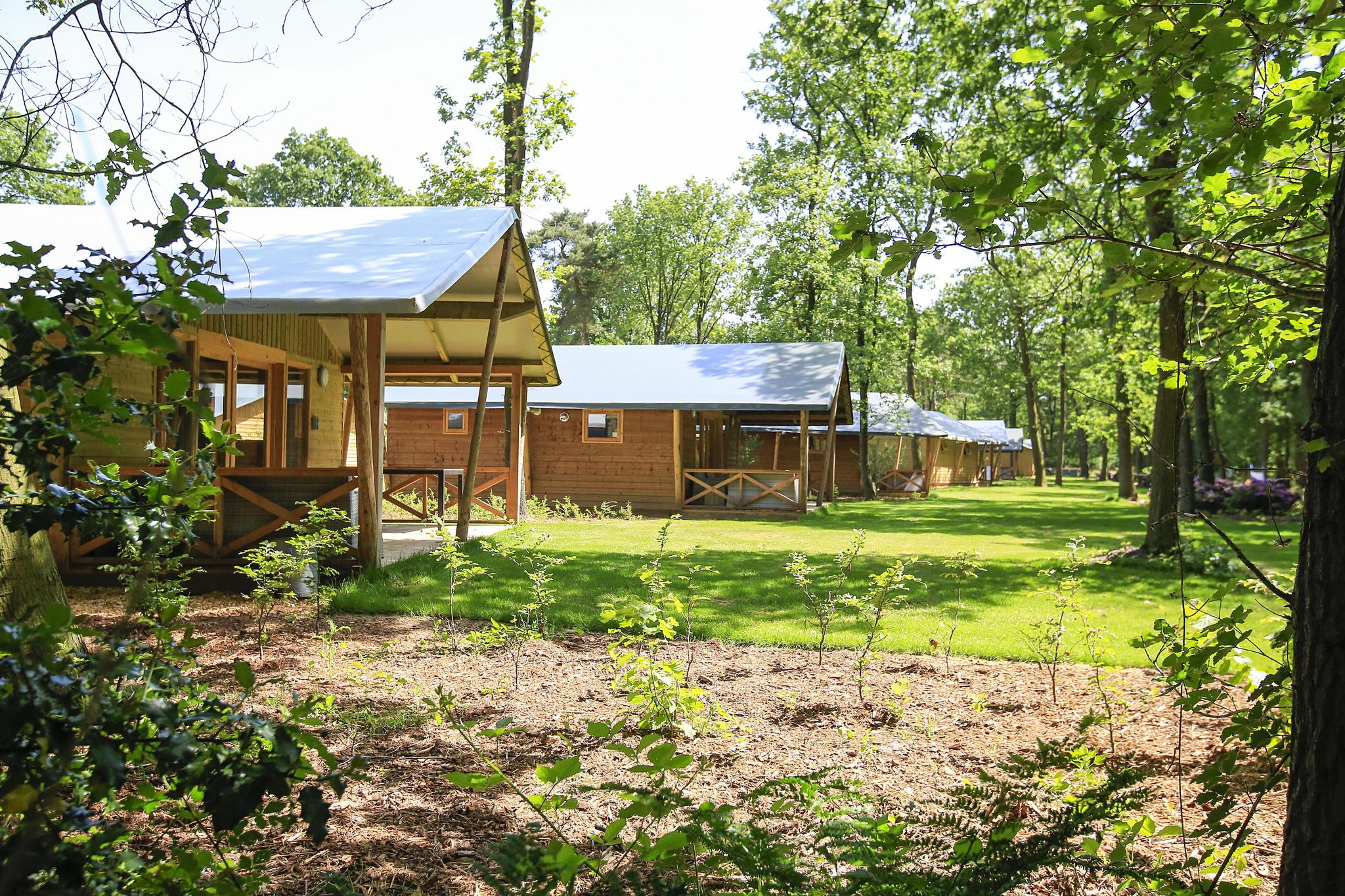 Cozy cottage for 5 people in Brabant