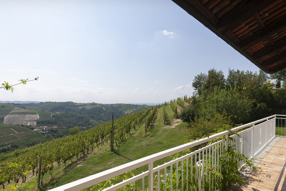 Holiday home with a view of vineyards