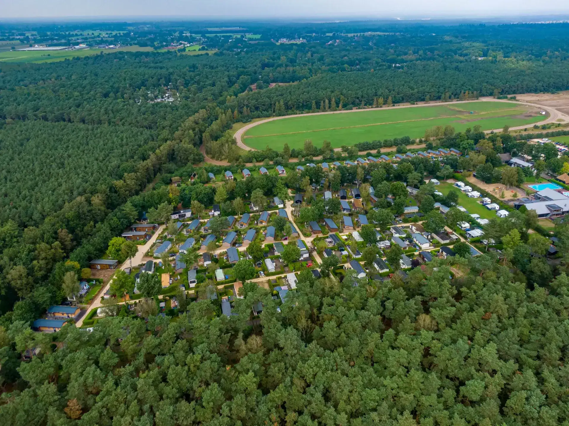 Pet-friendly lodge (4p) on the Veluwe