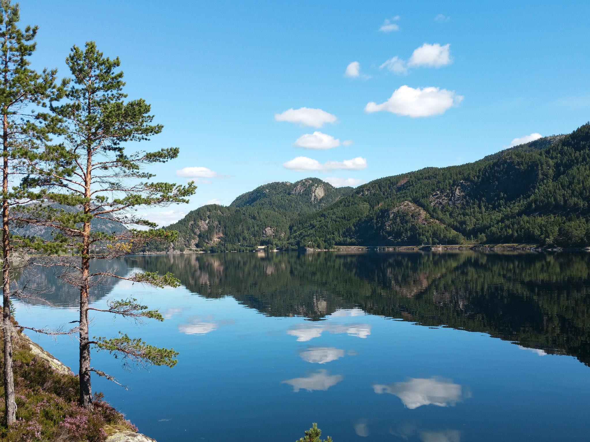 Logement de vacances en bois à 400 mètres du lac