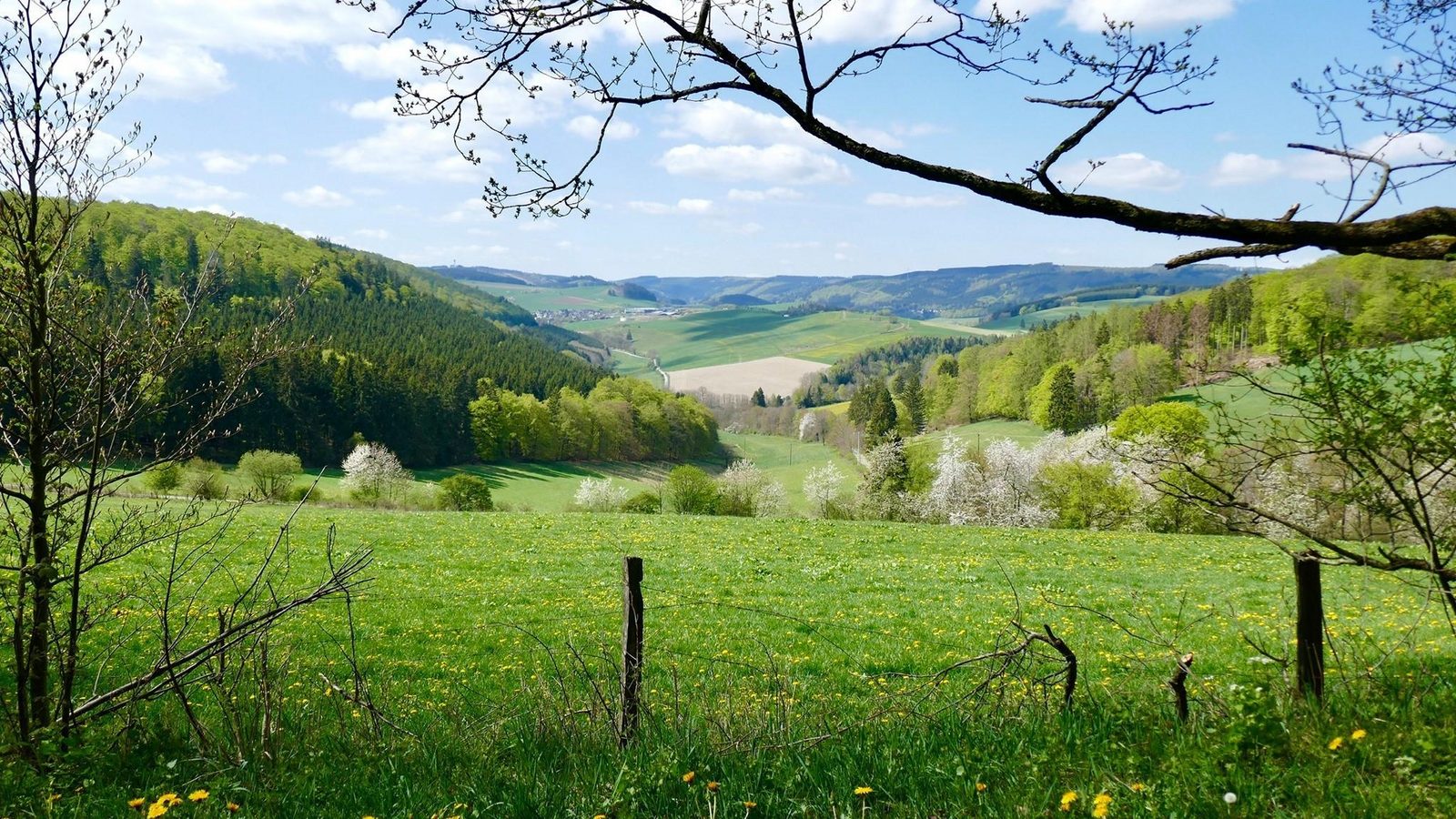 Appartement pour enfants près de Winterberg