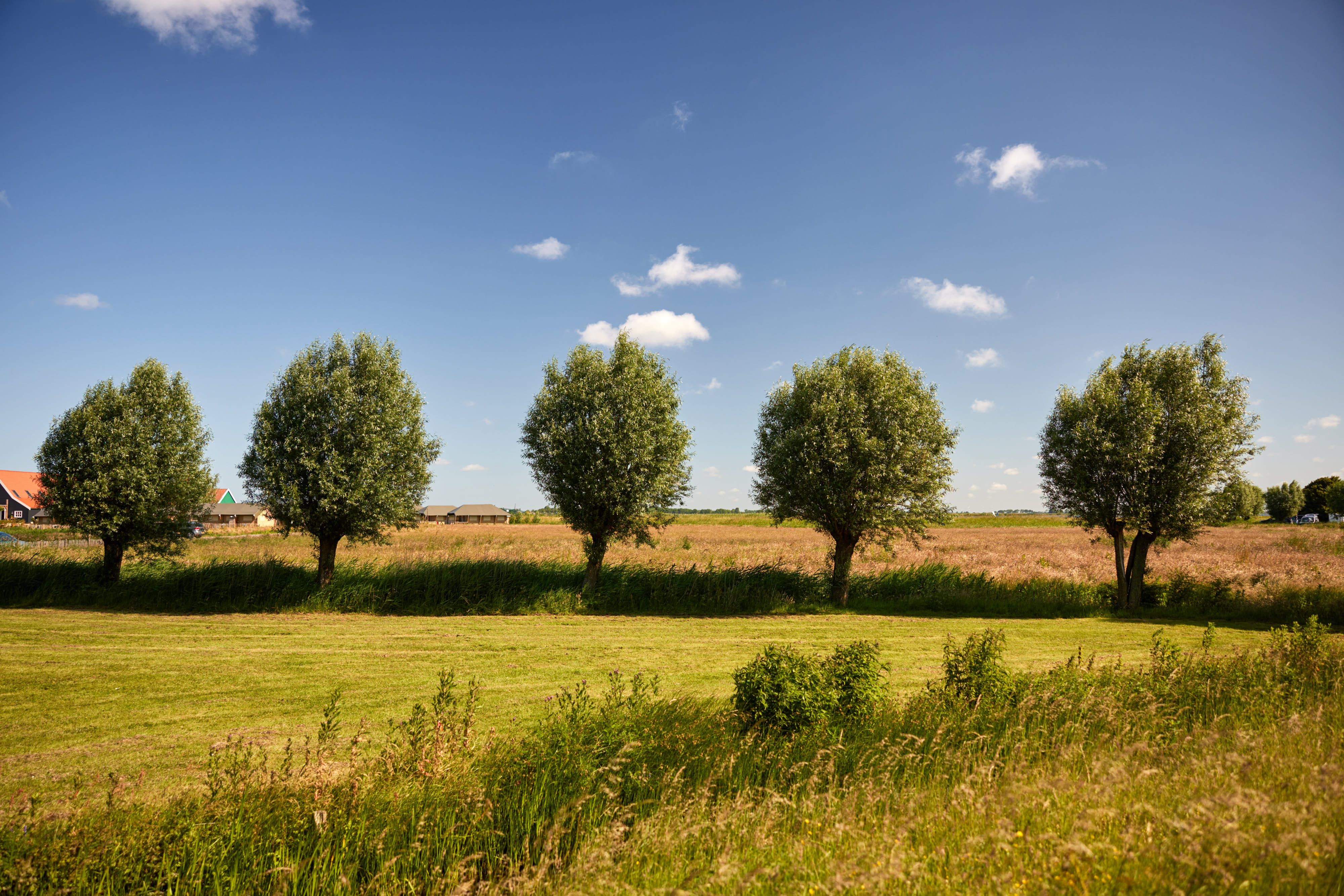 Tente glamping 8 places au bord de l'eau