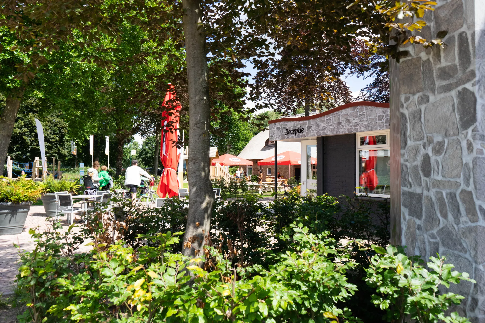 Logement de vacances moderne entouré de forêt