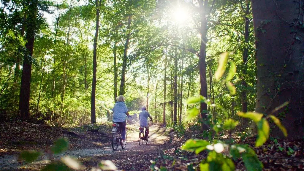 Sfeervol vakantiehuis in groene omgeving