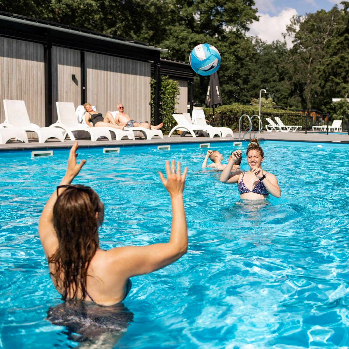 Lodge de luxe avec sauna (animaux admis)