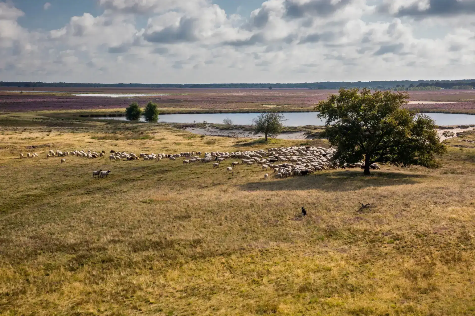 Uniek gelegen groepsaccommodatie in Drenthe