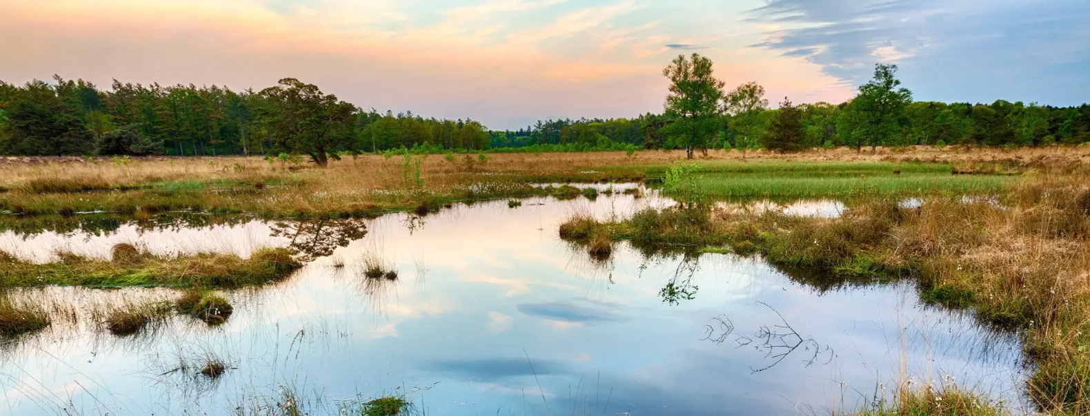 Group accommodation in Drenthe nature reserve