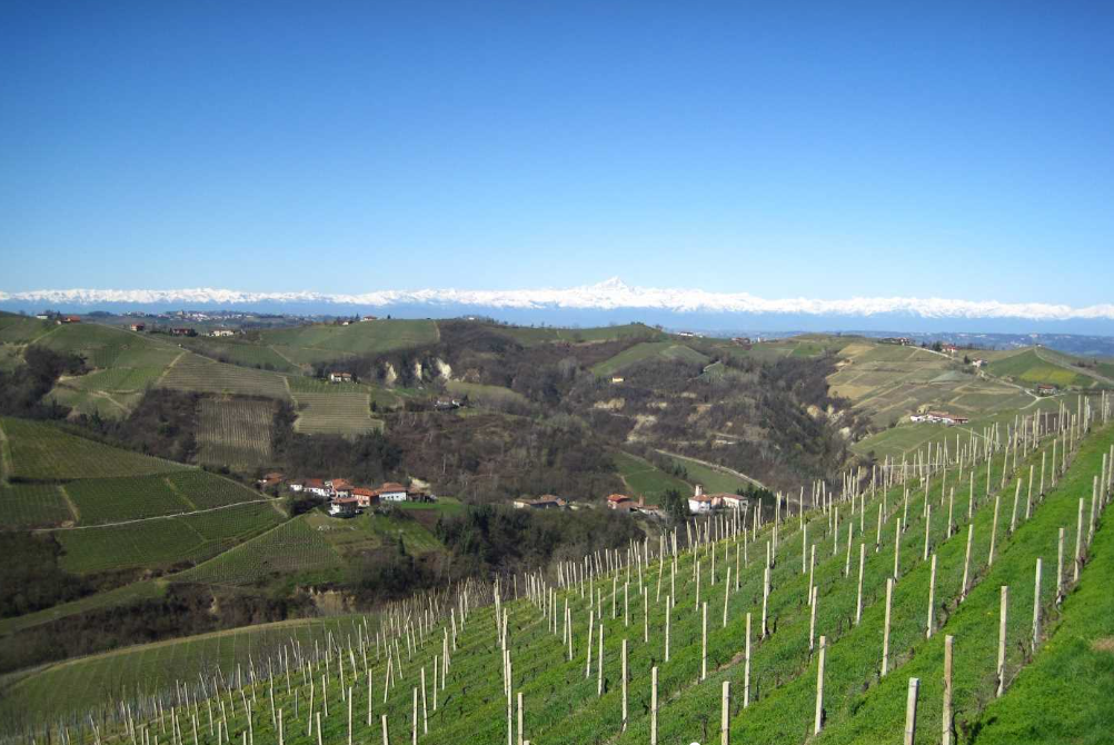 Holiday home with a view of vineyards