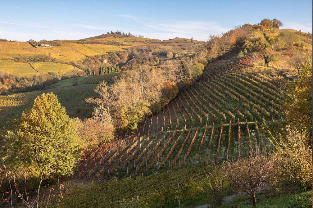 Holiday home with a view of vineyards
