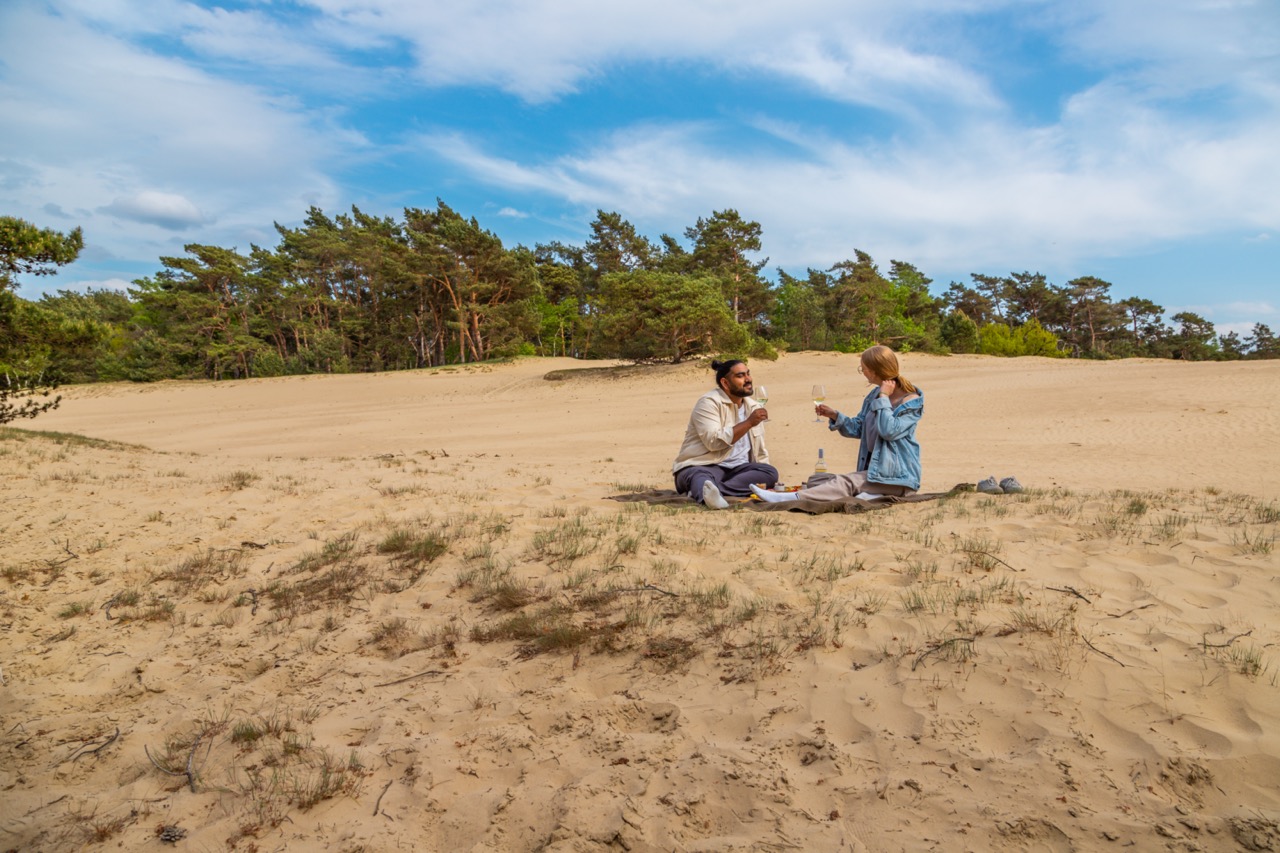 Pet-friendly lodge (4p) on the Veluwe