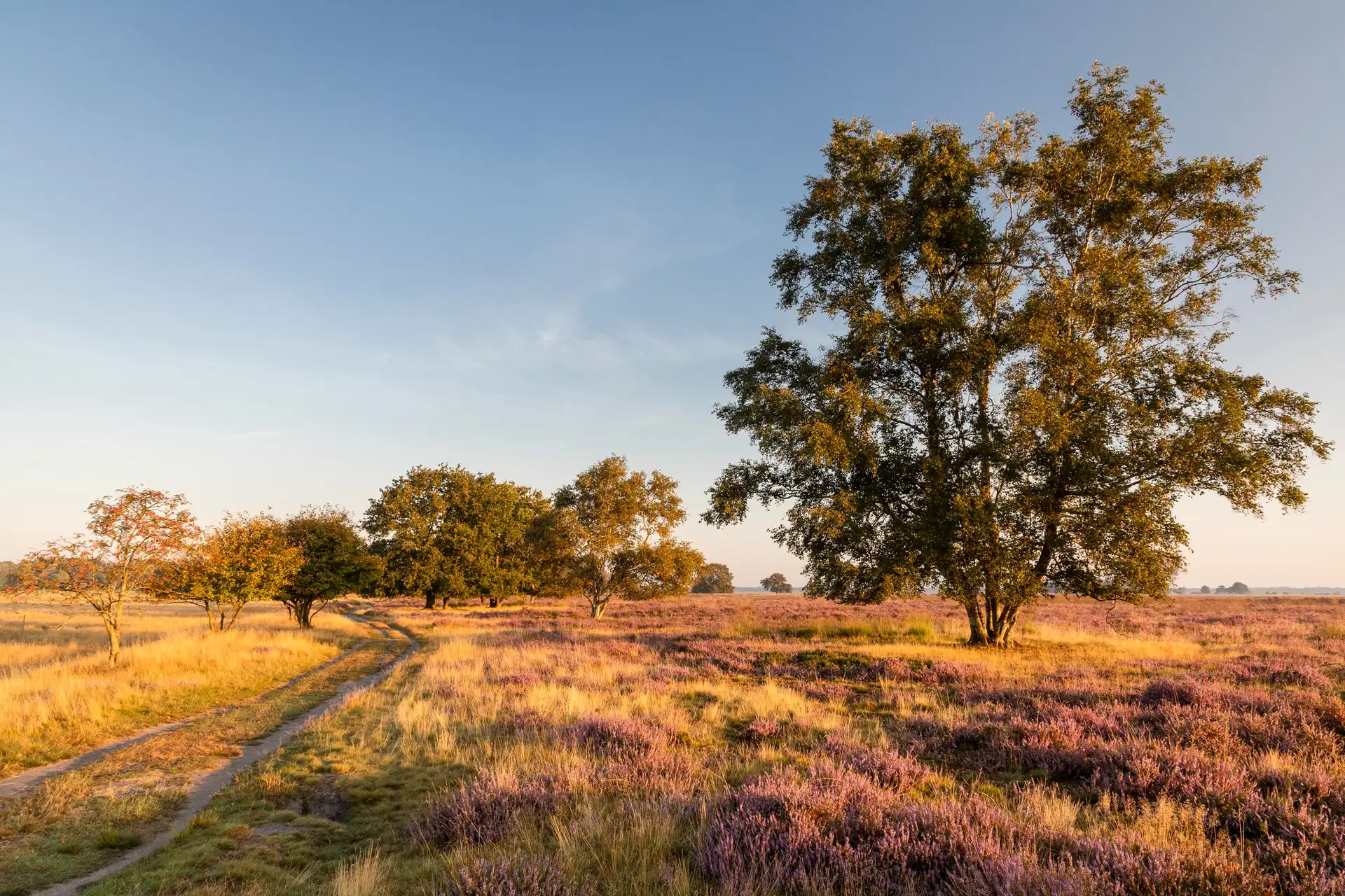 Luxuriöse Ferienwohnung für 6 Personen in Drenthe