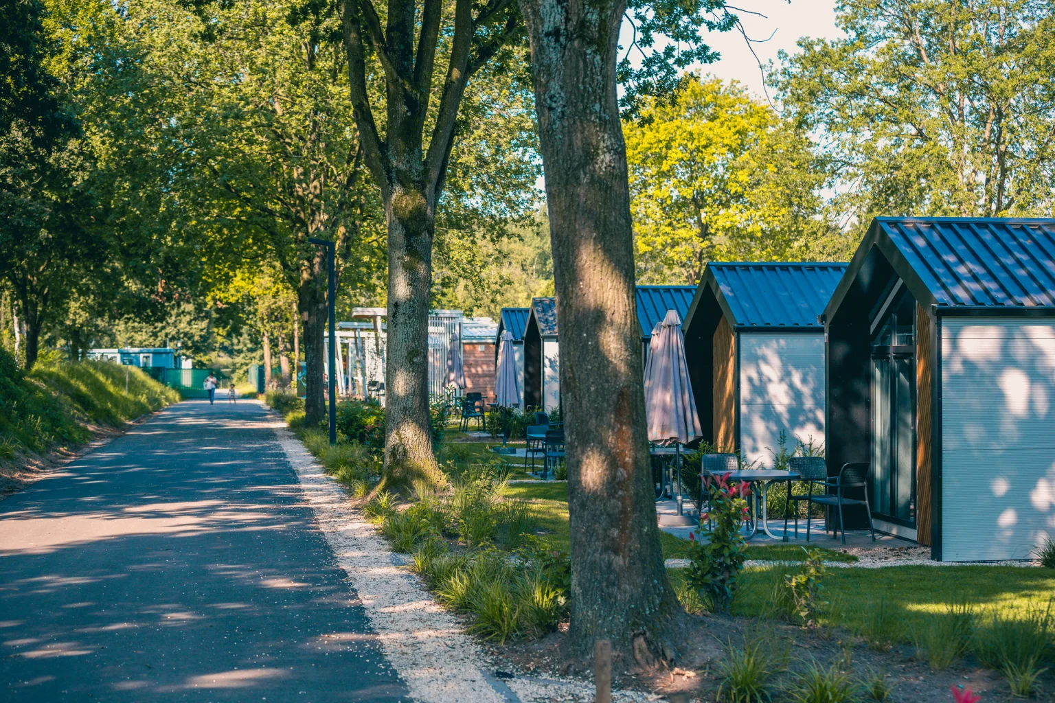 Logement de vacances moderne entouré de forêt