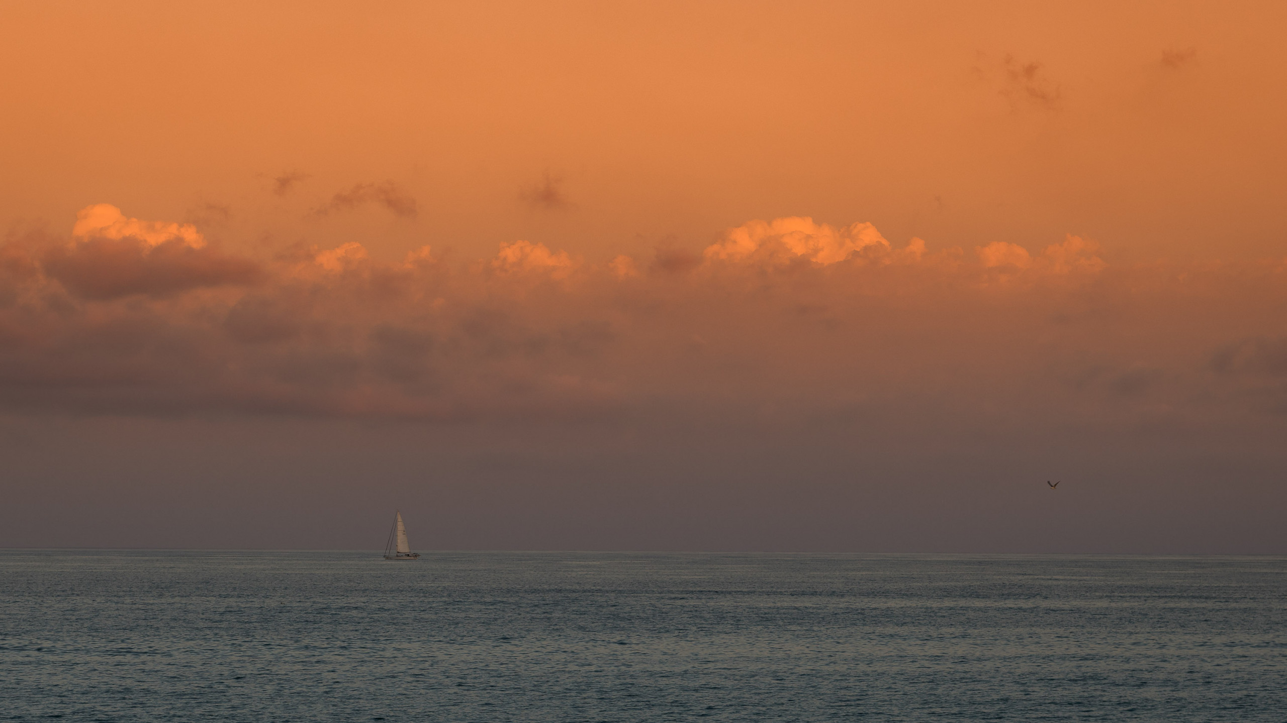 Holiday home in La Cala de Mijas