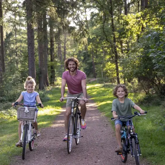 Family cottage with children's room on the Veluwe